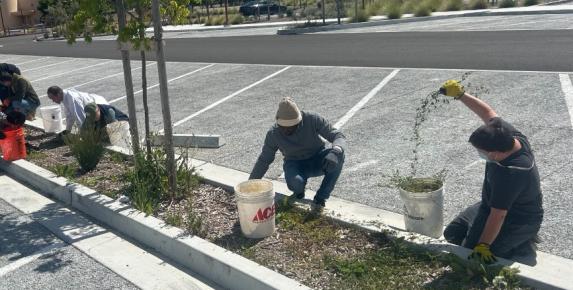 Civic Center Landscape Stewardship