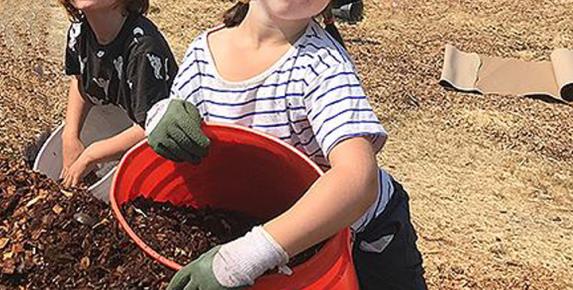Restoration at Hal Brown Park