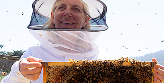 Bee Experienced at Heidrun Meadery