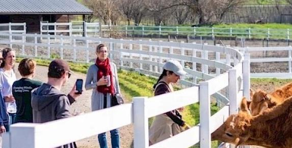 Community Tour at Charlie's Acres Farm Animal Sanctuary
