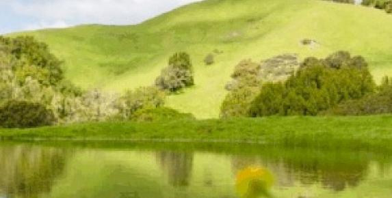 MALT Hike at Corda Family Ranch