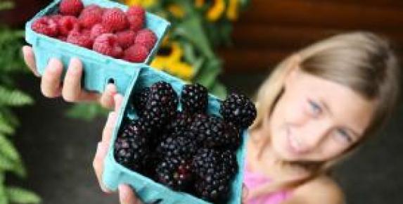 Corte Madera Farmers Market