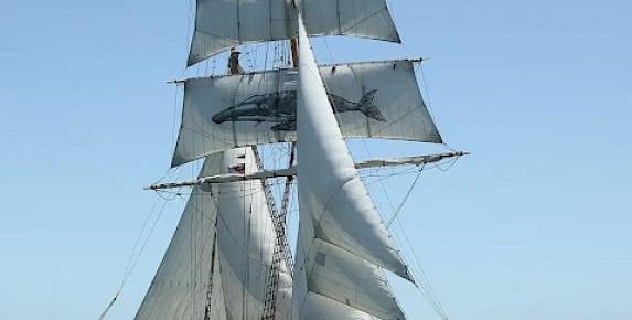 Mother's Day Sail on Brigantine Matthew Turner
