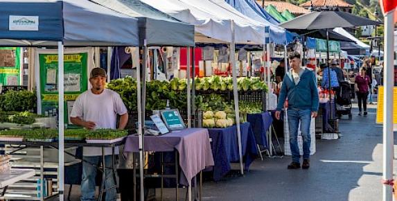 Farmers Market at Strawberry Village (Every Tuesday)