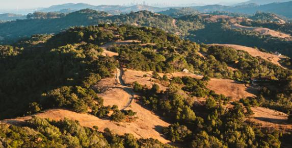 Nature Walk at Eagle Rock
