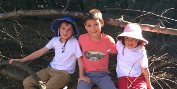 Family Walk: Indian Tree