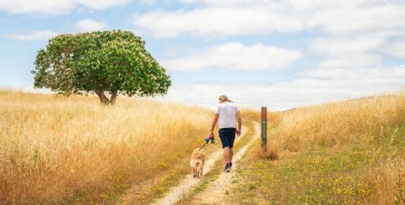 Deer Island Stroll
