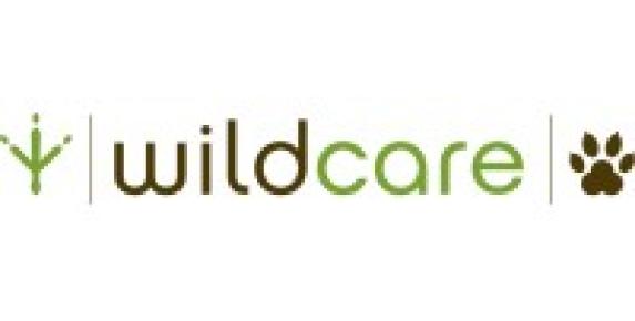Meet Wildlife with WildCare