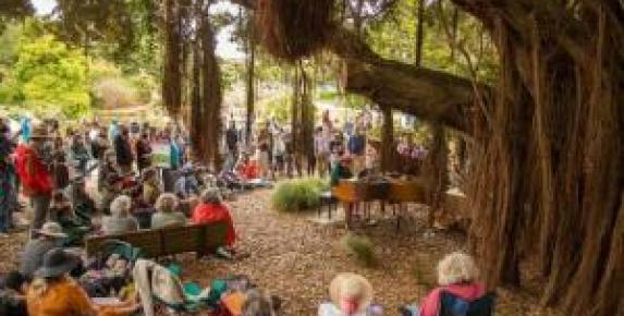 Flower Piano at the San Francisco Botanical Garden