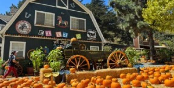 Lemos Farm Pumpkin Patch