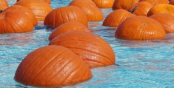 Floating Pumpkin Patch at the Terra Linda Community Pool