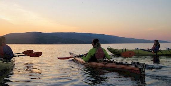 Bioluminescence Kayak Tour of Tomales Bay with Blue Waters Kayak…