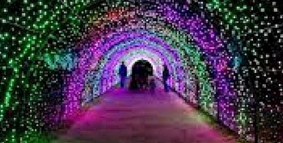 Holiday Light Spectacular at Marin Center Through January 3