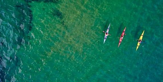 "Sick Day" Kayak Tours on Tomales Bay with Point Reyes…