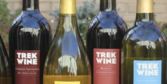 Novato Wine Tasting at Trek Winery
