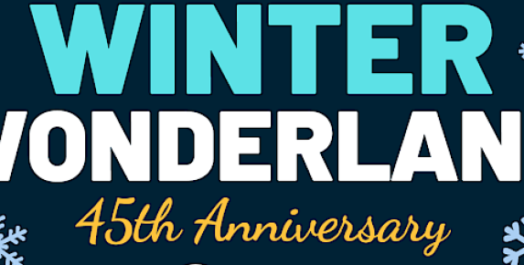 45th Anniversary of Parade of Lights and Winter Wonderland in Do…