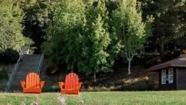 Landscape Stewardship at Paradise