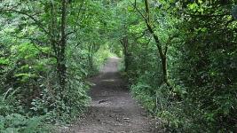 Senior Stroll: Tomales Bay State Park